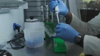 Yaban hayatı su&ccedil;ları uzmanları, ş&uuml;phelinin k&ouml;y&uuml;nde bulunan v&uuml;cut par&ccedil;alarından, Zimbabwe'nin