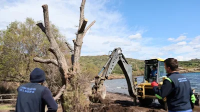 Bodrum Belediyesi&nbsp;Park ve Bah&ccedil;eler M&uuml;d&uuml;rl&uuml;ğ&uuml; ekipleri, 13-17 Şubat tarihleri arasında