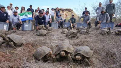 Bilim insanları, Gal&aacute;pagos Ulusal Parkı M&uuml;d&uuml;rl&uuml;ğ&uuml; ve Gal&aacute;pagos Koruma Derneği'nin