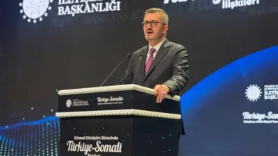 Cumhurbaşkanlığı İletişim Başkanlığı&rsquo;nda d&uuml;zenlenen panelde konuşan İletişim Başkanı&nbsp; Duran, T&uuml;rkiye