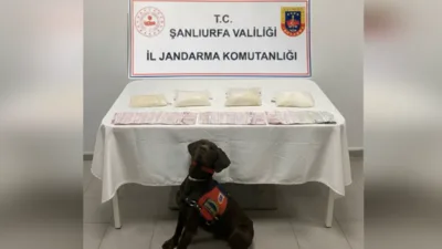 Şanlıurfa İl Jandarma Komutanlığı&nbsp;tarafından &ldquo;Narkotik Su&ccedil;larla M&uuml;cadele" kapsamında Haliliye il&ccedil;esinde,