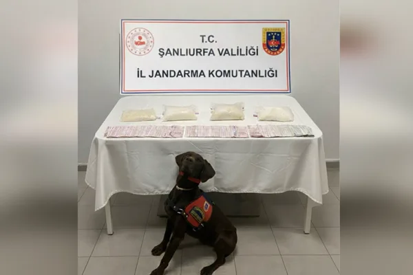 Şanlıurfa İl Jandarma Komutanlığı&nbsp;tarafından &ldquo;Narkotik Su&ccedil;larla M&uuml;cadele" kapsamında Haliliye il&ccedil;esinde,