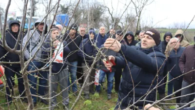 İzmit Belediyesi Kırsal Hizmetler M&uuml;d&uuml;rl&uuml;ğ&uuml;, meyve yetiştiricilerine y&ouml;nelik &ldquo;Meyve Ağacı