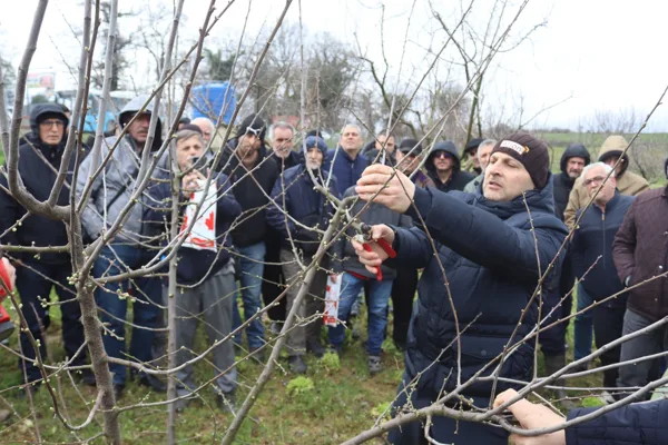 İzmit Belediyesi Kırsal Hizmetler M&uuml;d&uuml;rl&uuml;ğ&uuml;, meyve yetiştiricilerine y&ouml;nelik &ldquo;Meyve Ağacı