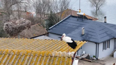 Karacabey&rsquo;e bağlı Eskikaraağa&ccedil; Leylek K&ouml;y&uuml;&rsquo;nde, balık&ccedil;ı Adem Yılmaz (70) ile