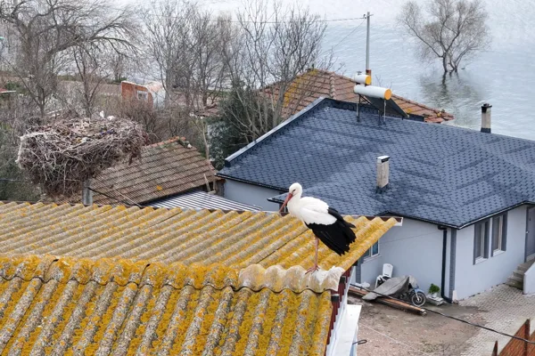 Karacabey&rsquo;e bağlı Eskikaraağa&ccedil; Leylek K&ouml;y&uuml;&rsquo;nde, balık&ccedil;ı Adem Yılmaz (70) ile