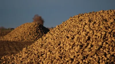 Kamuyu Aydınlatma Platformuna (KAP) yapılan a&ccedil;ıklamada, ''2025 kampanya d&ouml;neminde şeker