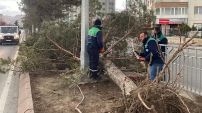 Kayseri B&uuml;y&uuml;kşehir Belediyesi Park ve Bah&ccedil;eler Dairesi Başkanlığı ekipleri, olumsuz