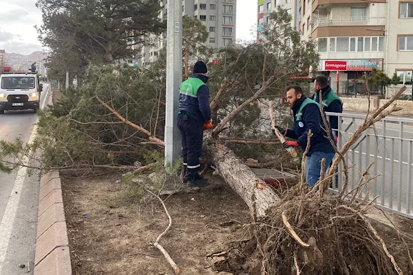 Kayseri B&uuml;y&uuml;kşehir Belediyesi Park ve Bah&ccedil;eler Dairesi Başkanlığı ekipleri, olumsuz