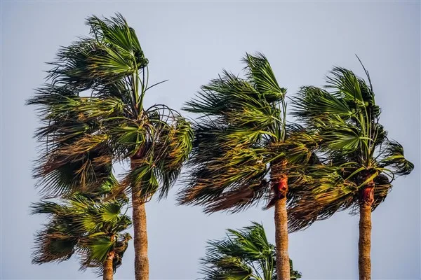 Valiliğin a&ccedil;ıklamasında Meteoroloji Genel M&uuml;d&uuml;rl&uuml;ğ&uuml;nce yapılan son değerlendirmelere g&ouml;re bug&uuml;n