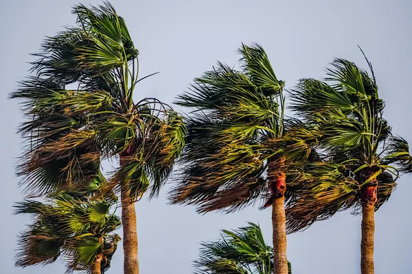 MGM yetkilileri, denizlere y&ouml;nelik meteorolojik uyarı yayımlayarak Kuzey Ege&rsquo;de fırtına