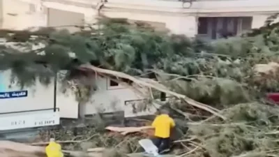 Maria Lucia Amaral, "g&ouml;revde devam etmek i&ccedil;in gerekli kişisel veya