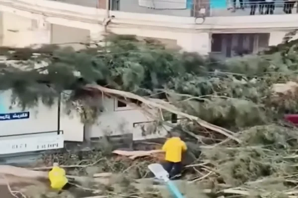 Maria Lucia Amaral, "g&ouml;revde devam etmek i&ccedil;in gerekli kişisel veya