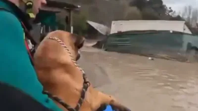Çarşamba günü geç saatlerde şiddetli yağmur, Mondego Nehri üzerindeki bir