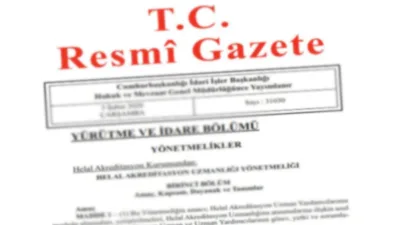 Y&Uuml;R&Uuml;TME VE İDARE B&Ouml;L&Uuml;M&Uuml; Y&Ouml;NETMELİKLER &ndash;&ndash; İstanbul &Uuml;niversitesi G&uuml;neydoğu Avrupa