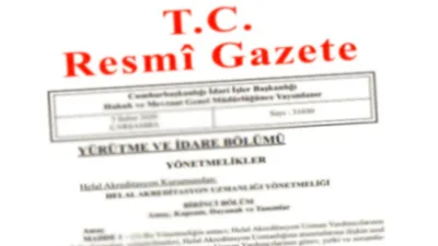 Y&Uuml;R&Uuml;TME VE İDARE B&Ouml;L&Uuml;M&Uuml;&nbsp; Y&Ouml;NETMELİKLER&nbsp; &ndash;&ndash; Ankara Yıldırım Beyazıt &Uuml;niversitesi