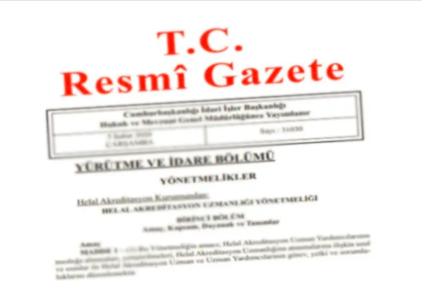 Y&Uuml;R&Uuml;TME VE İDARE B&Ouml;L&Uuml;M&Uuml;&nbsp; Y&Ouml;NETMELİKLER&nbsp; &ndash;&ndash; Ankara Yıldırım Beyazıt &Uuml;niversitesi