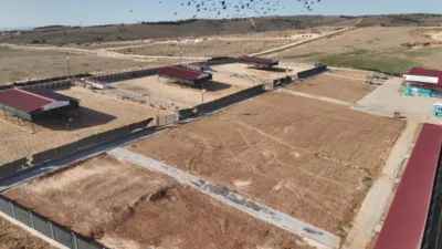 Şanlıurfa Valisi Şıldak, 5199 sayılı Hayvanları Koruma Kanunu kapsamında y&uuml;r&uuml;t&uuml;len