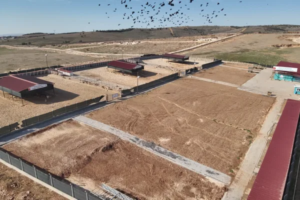 Şanlıurfa Valisi Şıldak, 5199 sayılı Hayvanları Koruma Kanunu kapsamında y&uuml;r&uuml;t&uuml;len