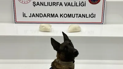 Şanlıurfa İl Jandarma Komutanlığı&rsquo;na bağlı İstihbarat Şube, Narkotik Şube ve