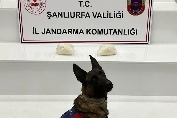 Şanlıurfa İl Jandarma Komutanlığı&rsquo;na bağlı İstihbarat Şube, Narkotik Şube ve
