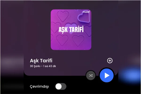 M&uuml;zik, sevginin bir&ccedil;ok halini&nbsp;bazen bir melodiyle bazen tek bir s&ouml;zle