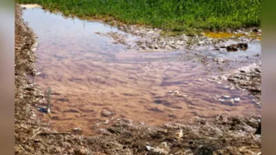Kayıpsız, kesintisiz ve kaliteli enerji dağıtımı hedefiyle G&uuml;neydoğu Anadolu B&ouml;lgesi&rsquo;nde