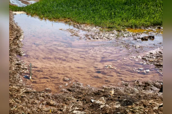 Kayıpsız, kesintisiz ve kaliteli enerji dağıtımı hedefiyle G&uuml;neydoğu Anadolu B&ouml;lgesi&rsquo;nde