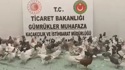 Ticaret Bakanlığı&rsquo;ndan yapılan a&ccedil;ıklamaya g&ouml;re, 2025 yılı boyunca y&uuml;r&uuml;t&uuml;len operasyonlarda
