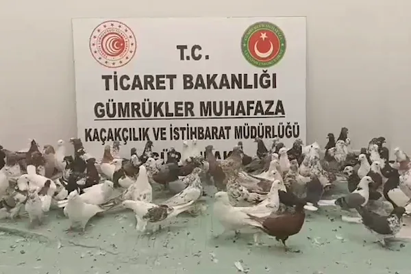 Ticaret Bakanlığı&rsquo;ndan yapılan a&ccedil;ıklamaya g&ouml;re, 2025 yılı boyunca y&uuml;r&uuml;t&uuml;len operasyonlarda
