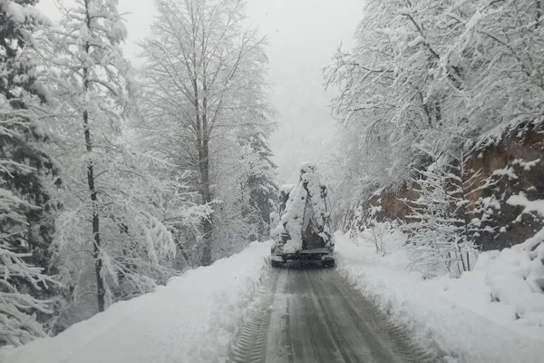 Trabzon B&uuml;y&uuml;kşehir Belediyesi Yol Yapım Bakım ve Onarım Dairesi Başkanlığı,