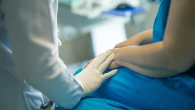 &nbsp;Uzel, fillerin kansere karşı g&ouml;sterdiği olağan&uuml;st&uuml; direncin genetik sırrının &ccedil;&ouml;z&uuml;lmeye