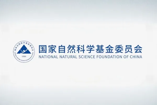 &Ccedil;in Cumhurbaşkanı Xi Jinping, temel araştırmaların daha stratejik, ileriye d&ouml;n&uuml;k