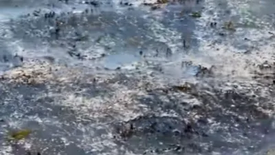 4 Şubat'tan bu yana her g&uuml;n milyonlarca litre arıtılmamış ve