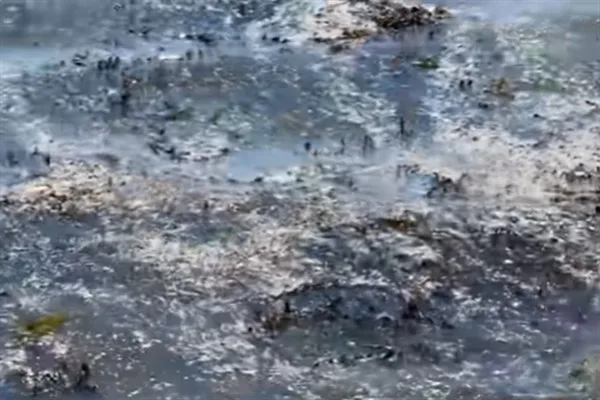 4 Şubat'tan bu yana her g&uuml;n milyonlarca litre arıtılmamış ve