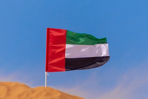 BAE Savunma Bakanlığından yapılan açıklamaya göre BAE hava savunma sistemleri