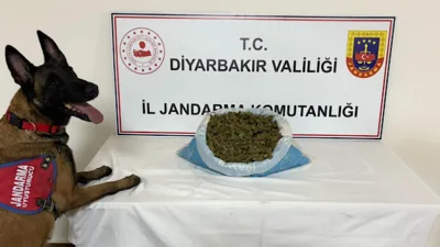 Diyarbakır İl Jandarma Komutanlığı&nbsp;tarafından, su&ccedil;ların &ouml;nlenmesi ve haklarında yakalama kararı