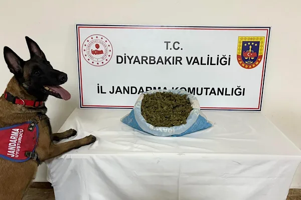 Diyarbakır İl Jandarma Komutanlığı&nbsp;tarafından, su&ccedil;ların &ouml;nlenmesi ve haklarında yakalama kararı