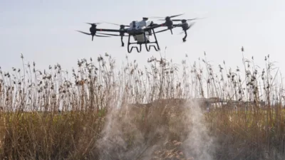 İzmir Büyükşehir Belediyesi Çevre Koruma ve Kontrol Dairesi Başkanlığı, halk