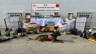 Sakarya İl Jandarma Komutanlığı ekipleri, kaçakçılık suçlarıyla mücadele kapsamında Geyve