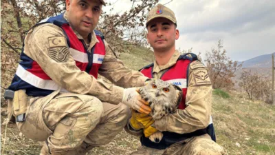 Eruh İlçe Jandarma Komutanlığı ekiplerince Çırpılı Köyü mevkiinde icra edilen